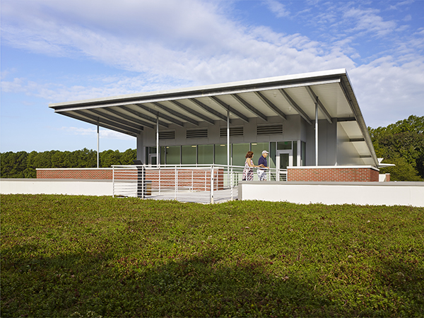 Green Roof