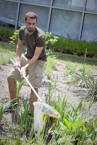 A student collects algae from a bioretention basin outside the Greer Environmental Sciences Center.