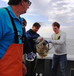 Owen Davis (right) pulls up a net during his afternoon class on the Ocean Explorer research vessel. (Photo: Janice Marshall-Pittman)