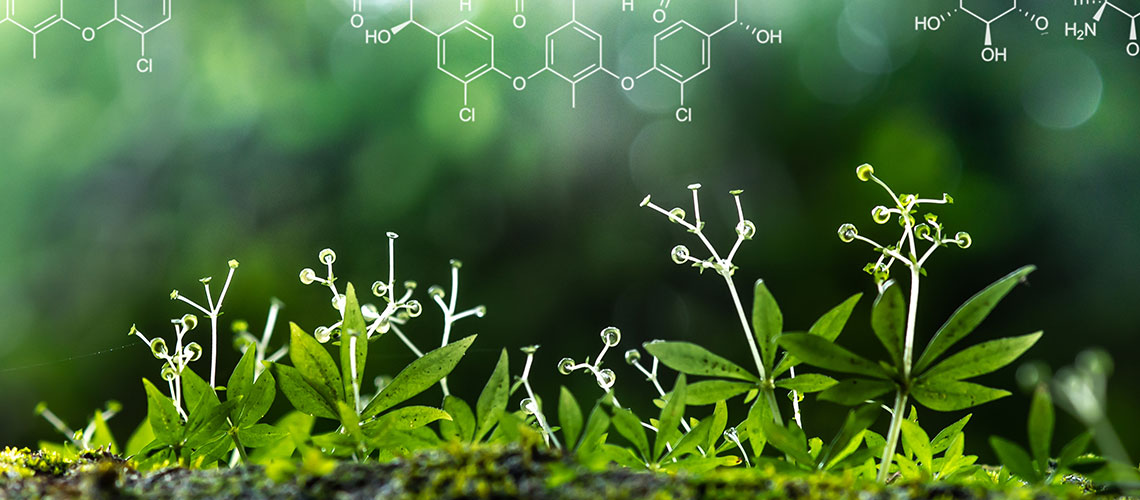 Biochemistry | Virginia Wesleyan University