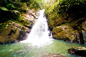 El Yunque Puerto Rico