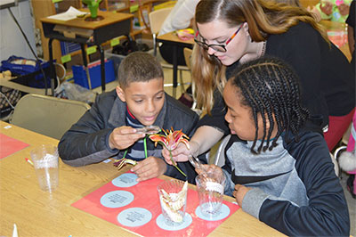 Kelly Bateman assists students in observing and dissecting a flower as a part of her Classroom Management course. This course allows undergraduates to implement behavior management strategies learned in class while teaching in diverse contexts.