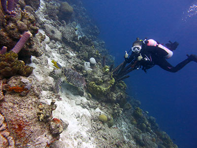 Fuller participating in a class scuba dive session, Playa Lechi, Bonaire, October 11, 2017. (Photograph taken by Shannon Brown)