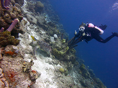Fuller participating in a class scuba dive session, Playa Lechi, Bonaire, October 11, 2017. (Photograph taken by Shannon Brown) Fuller participating in a class scuba dive session, Playa Lechi, Bonaire, October 11, 2017. (Photograph taken by Shannon Brown)