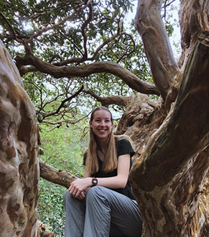 Kayleen in a Guava Tree, La Finca Monteverde, Costa Rica, February 7, 2020. Photograph by Morgan Maccione.