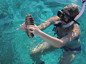 Virginia Wesleyan student with a sea cucumber. (Taken by Prof. Deirdre Gonsalves-Jackson) Virginia Wesleyan student with a sea cucumber.