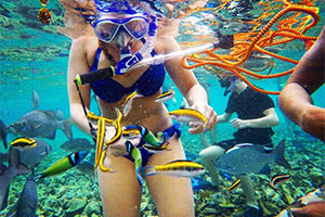 BIO 340 student off Turtle Rock Island, Belize, January 2016. Anonymous photograph. BIO 340 student off Turtle Rock Island, Belize, January 2016. Anonymous photograph.