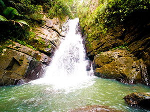 El Yunque National Forest El Yunque National Forest