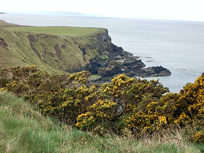 Giant’s Causeway, Northern Ireland