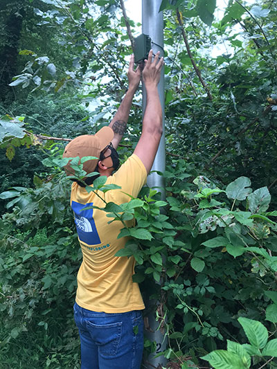 Ezekiel conducting research in the Old Growth Beech Forest, Summer 2020