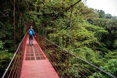 Kayleen in the Monteverde Cloud Forest Biological Preserve, Monteverde, Costa Rica, February 8, 2020. Photograph by Will Cioci. Kayleen in the Monteverde Cloud Forest Biological Preserve, Monteverde, Costa Rica, February 8, 2020. Photograph by Will Cioci.