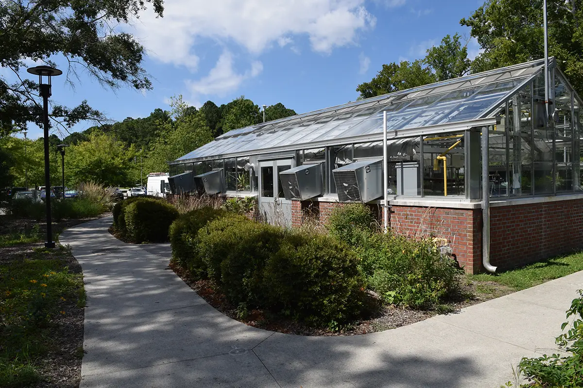 Greer Center Greenhouse & Gardens houses a variety of botany