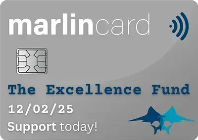Support the Excellence Fund