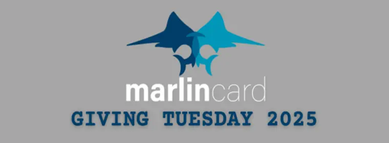 Giving Tuesday 2025