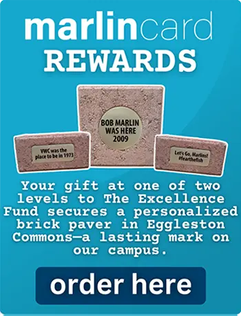 Paver