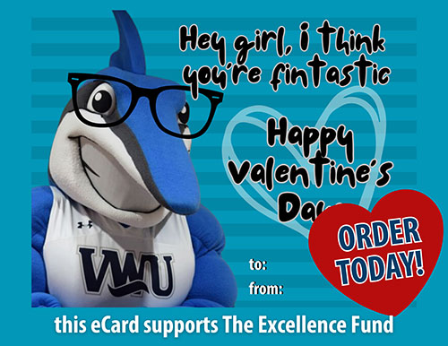 Support the Excellence Fund