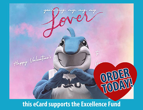 Support the Excellence Fund