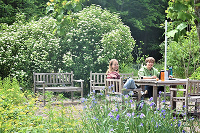 The Gardens surrounding the Greer Environmental Sciences Center provide a quiet place for study and reflection.