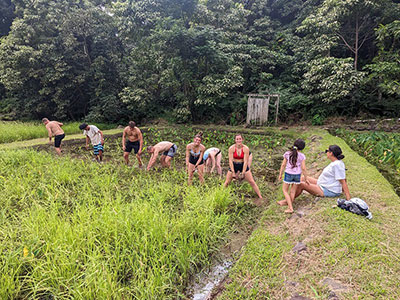 Study away students travel to Maui to study with our partners to immerse themselves in adventure travel including hiking, snorkeling, surfing, and even traditional Hawaiian agriculture methods.