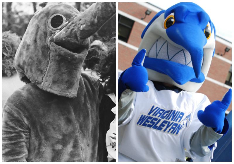 VWU mascot Bob Marlin in 1981 and 2003.